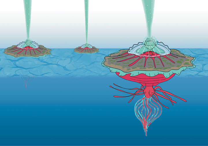 Celestial Feast - Stories